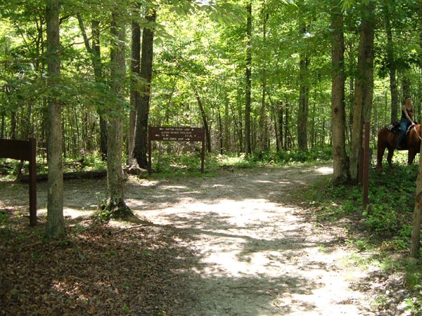 Horse Riding Trail